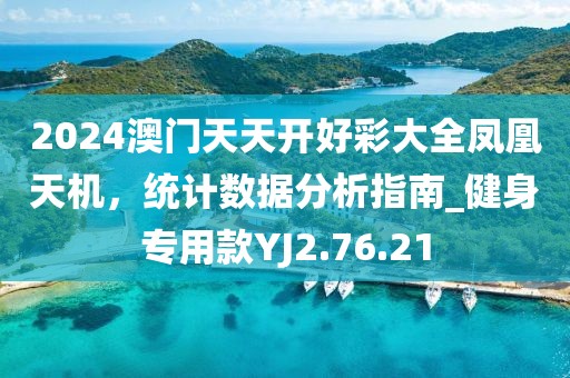 2024澳门天天开好彩大全凤凰天机，统计数据分析指南_健身专用款YJ2.76.21