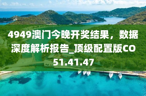 4949澳门今晚开奖结果，数据深度解析报告_顶级配置版CO51.41.47