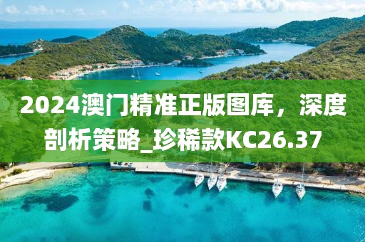 2024澳门精准正版图库，深度剖析策略_珍稀款KC26.37