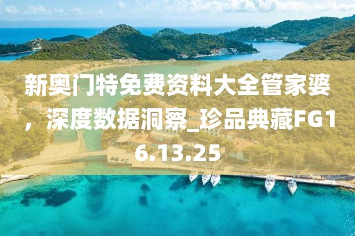 新奥门特免费资料大全管家婆，深度数据洞察_珍品典藏FG16.13.25