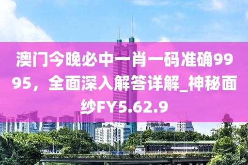 澳门今晚必中一肖一码准确9995，全面深入解答详解_神秘面纱FY5.62.9