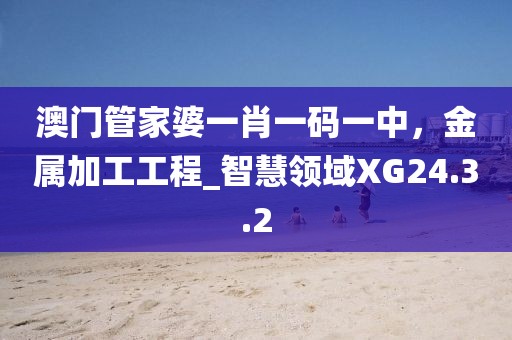 澳门管家婆一肖一码一中，金属加工工程_智慧领域XG24.3.2