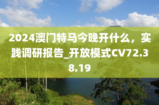 2024澳门特马今晚开什么，实践调研报告_开放模式CV72.38.19