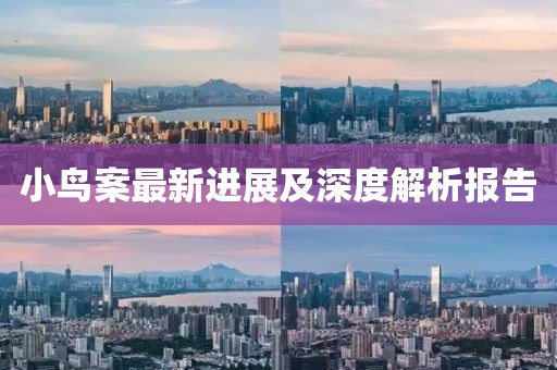 小鸟案最新进展及深度解析报告