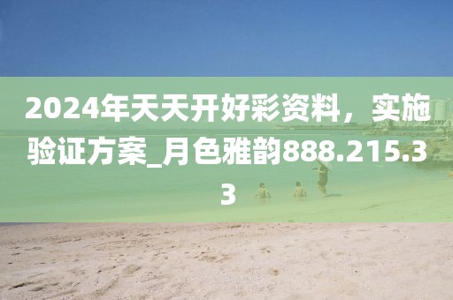 2024年天天开好彩资料，实施验证方案_月色雅韵888.215.33