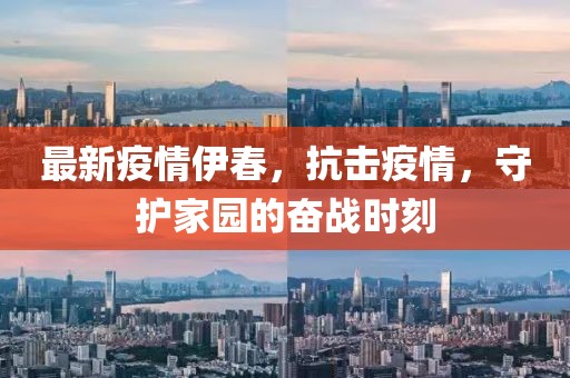 最新疫情伊春，抗击疫情，守护家园的奋战时刻