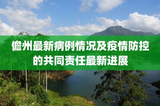 儋州最新病例情况及疫情防控的共同责任最新进展