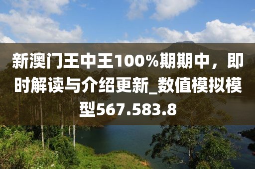 新澳门王中王100%期期中，即时解读与介绍更新_数值模拟模型567.583.8
