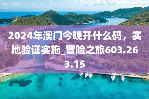 2024年澳门今晚开什么码，实地验证实施_冒险之旅603.263.15