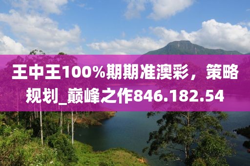 王中王100%期期准澳彩，策略规划_巅峰之作846.182.54