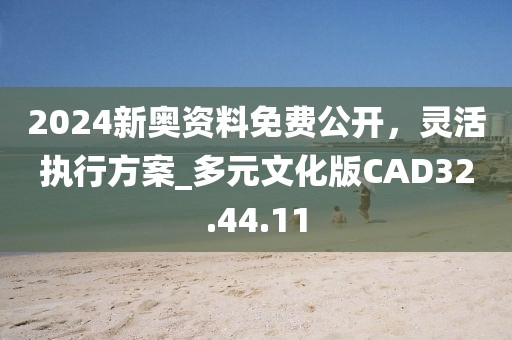 2024新奥资料免费公开，灵活执行方案_多元文化版CAD32.44.11