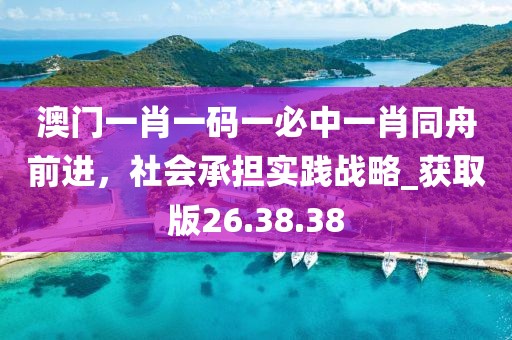 澳门一肖一码一必中一肖同舟前进，社会承担实践战略_获取版26.38.38