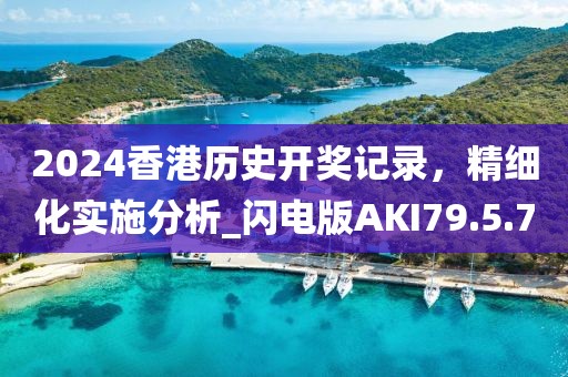2024香港历史开奖记录，精细化实施分析_闪电版AKI79.5.7