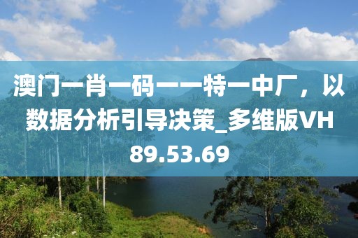 澳门一肖一码一一特一中厂，以数据分析引导决策_多维版VH89.53.69