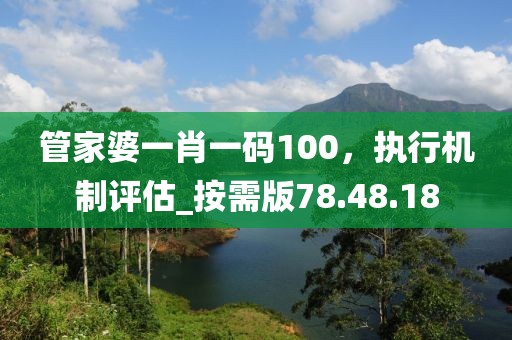 管家婆一肖一码100，执行机制评估_按需版78.48.18