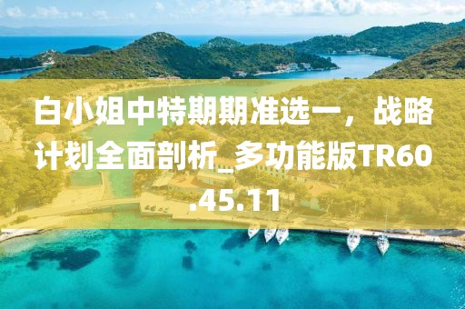 白小姐中特期期准选一，战略计划全面剖析_多功能版TR60.45.11