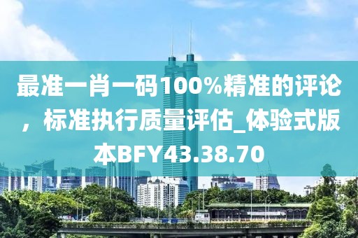 最准一肖一码100%精准的评论，标准执行质量评估_体验式版本BFY43.38.70