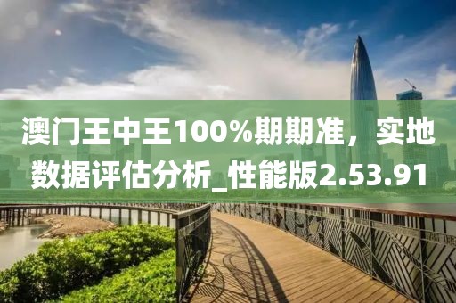 澳门王中王100%期期准，实地数据评估分析_性能版2.53.91