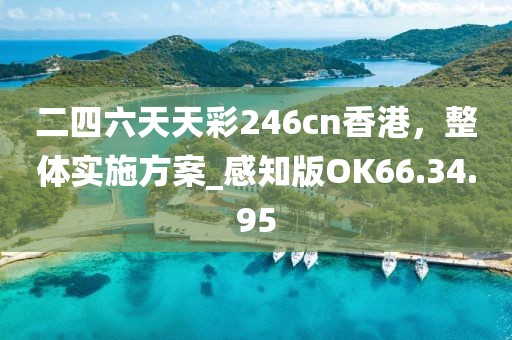 二四六天天彩246cn香港，整体实施方案_感知版OK66.34.95