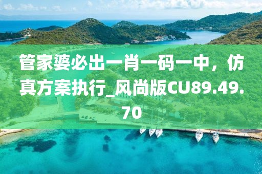 管家婆必出一肖一码一中，仿真方案执行_风尚版CU89.49.70
