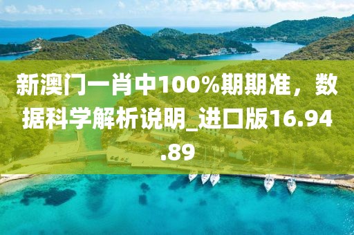 新澳门一肖中100%期期准，数据科学解析说明_进口版16.94.89