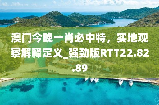 澳门今晚一肖必中特，实地观察解释定义_强劲版RTT22.82.89