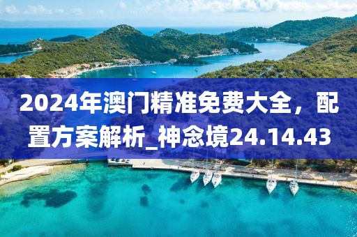 2024年澳门精准免费大全，配置方案解析_神念境24.14.43
