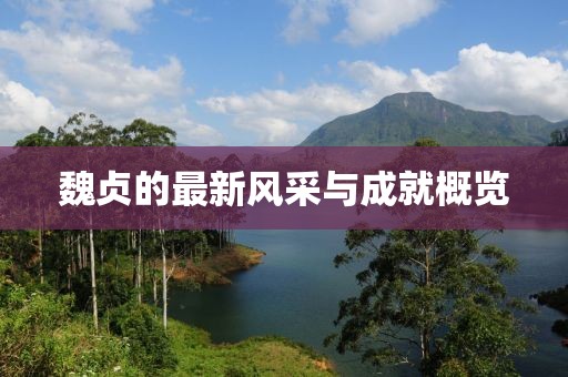 魏贞的最新风采与成就概览