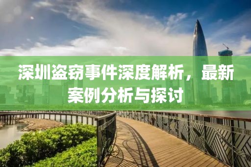 深圳盗窃事件深度解析，最新案例分析与探讨
