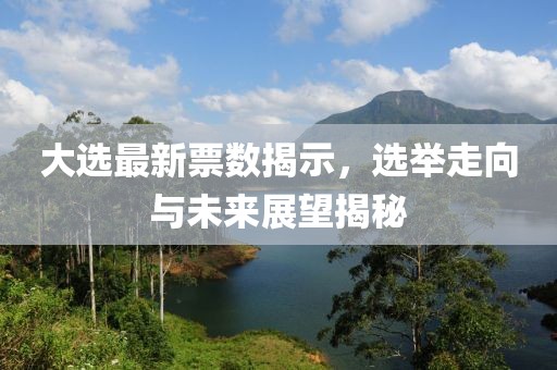 大选最新票数揭示，选举走向与未来展望揭秘