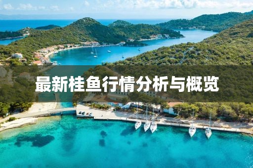 最新桂鱼行情分析与概览