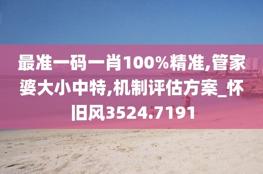 最准一码一肖100%精准,管家婆大小中特,机制评估方案_怀旧风3524.7191