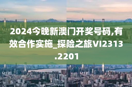2024今晚新澳门开奖号码,有效合作实施_探险之旅VI2313.2201