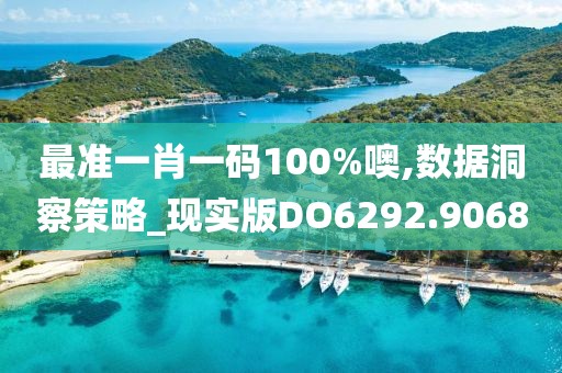 最准一肖一码100%噢,数据洞察策略_现实版DO6292.9068