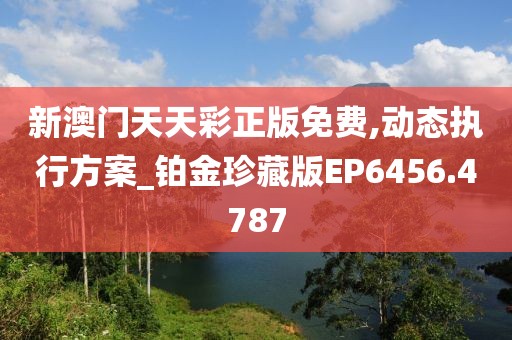 新澳门天天彩正版免费,动态执行方案_铂金珍藏版EP6456.4787