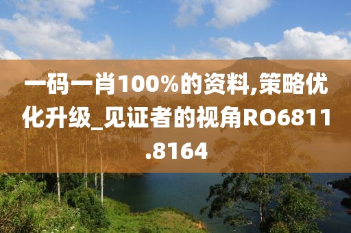 一码一肖100%的资料,策略优化升级_见证者的视角RO6811.8164