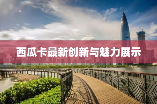 西瓜卡最新创新与魅力展示