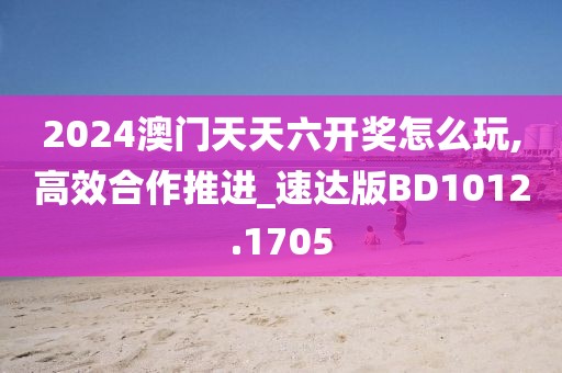 2024澳门天天六开奖怎么玩,高效合作推进_速达版BD1012.1705