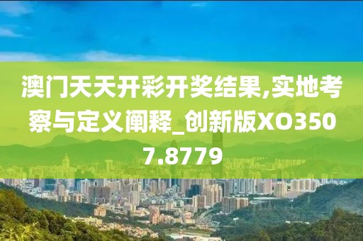 澳门天天开彩开奖结果,实地考察与定义阐释_创新版XO3507.8779