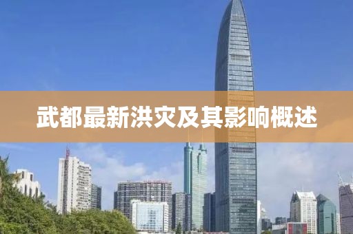 武都最新洪灾及其影响概述