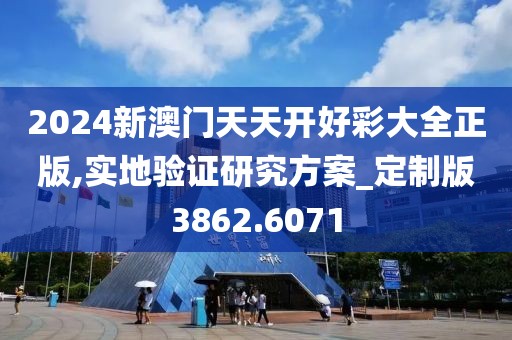 2024新澳门天天开好彩大全正版,实地验证研究方案_定制版3862.6071