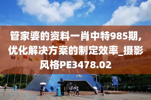 管家婆的资料一肖中特985期,优化解决方案的制定效率_摄影风格PE3478.02