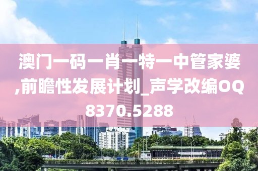 澳门一码一肖一特一中管家婆,前瞻性发展计划_声学改编OQ8370.5288