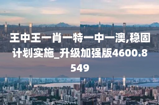 王中王一肖一特一中一澳,稳固计划实施_升级加强版4600.8549