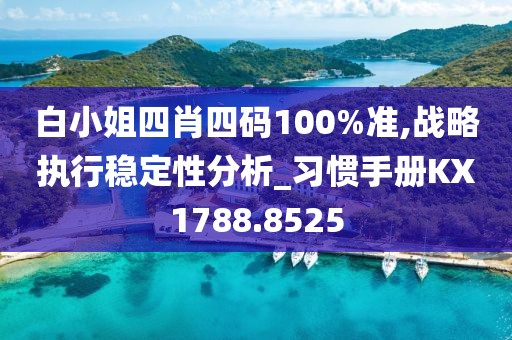 白小姐四肖四码100%准,战略执行稳定性分析_习惯手册KX1788.8525