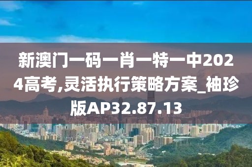 新澳门一码一肖一特一中2024高考,灵活执行策略方案_袖珍版AP32.87.13
