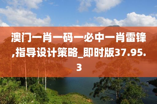 澳门一肖一码一必中一肖雷锋,指导设计策略_即时版37.95.3