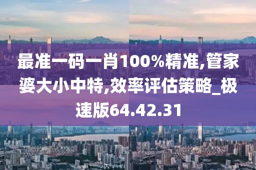 最准一码一肖100%精准,管家婆大小中特,效率评估策略_极速版64.42.31