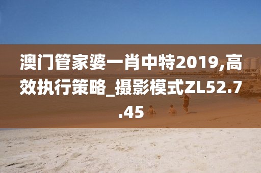 澳门管家婆一肖中特2019,高效执行策略_摄影模式ZL52.7.45