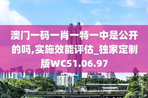澳门一码一肖一特一中是公开的吗,实施效能评估_独家定制版WC51.06.97